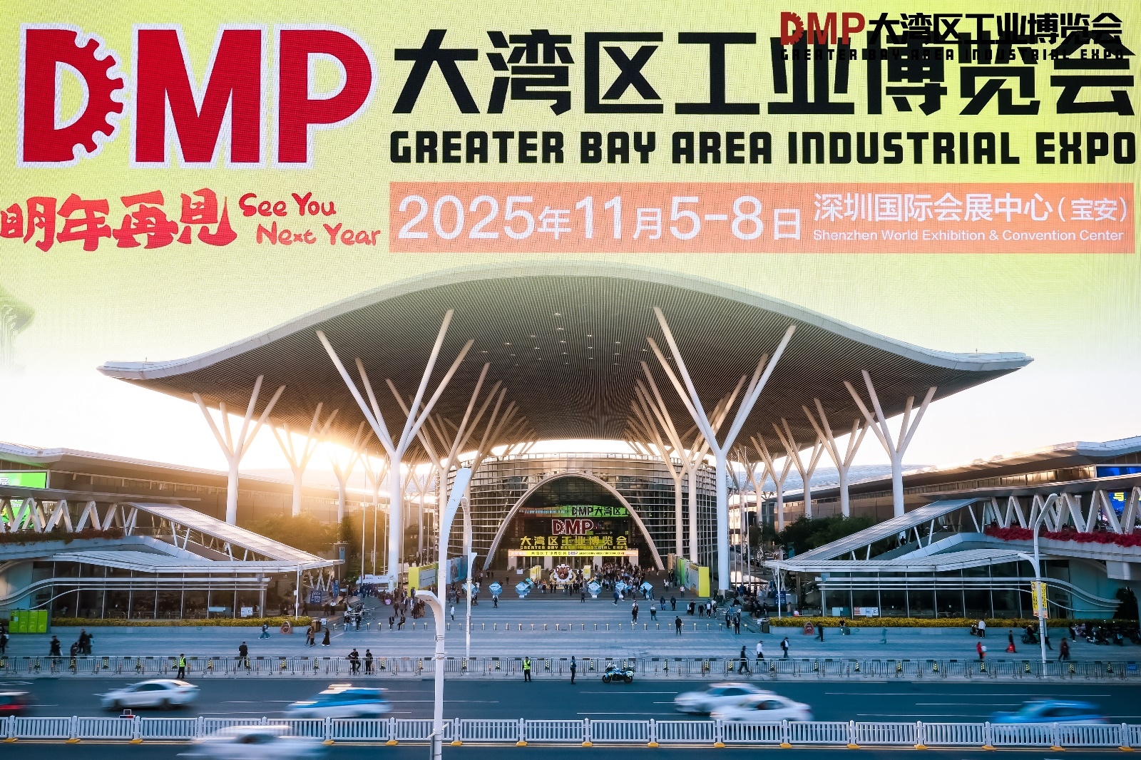 dmp (15)